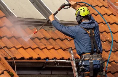 Démoussage et hydrofuge de toiture à Bassurels